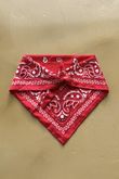 Western Bandana Triangle Silk Neckerchief Red